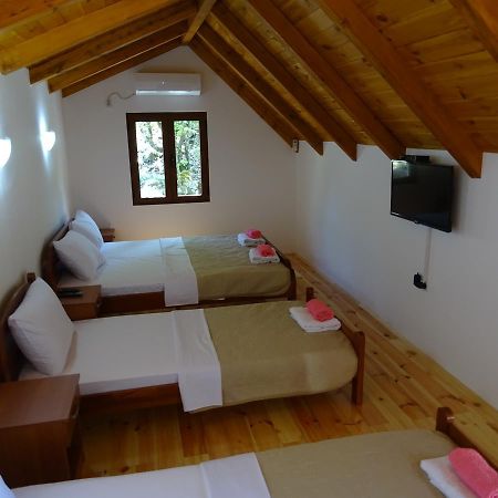 Apartmani Vinici Danilovgrad エクステリア 写真